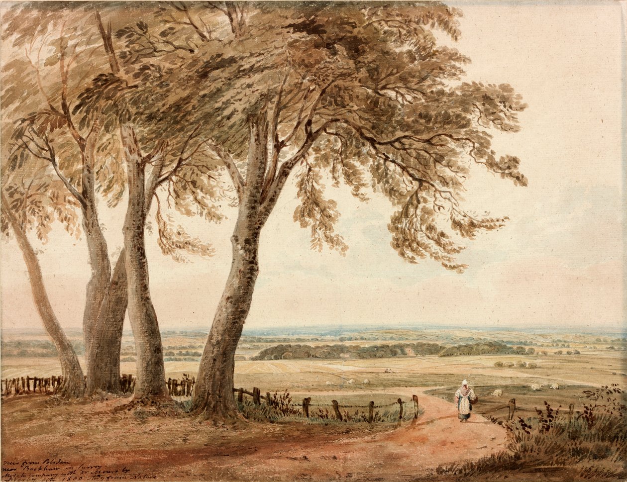 Vista desde Polesden, Surrey, 1800 de John Varley