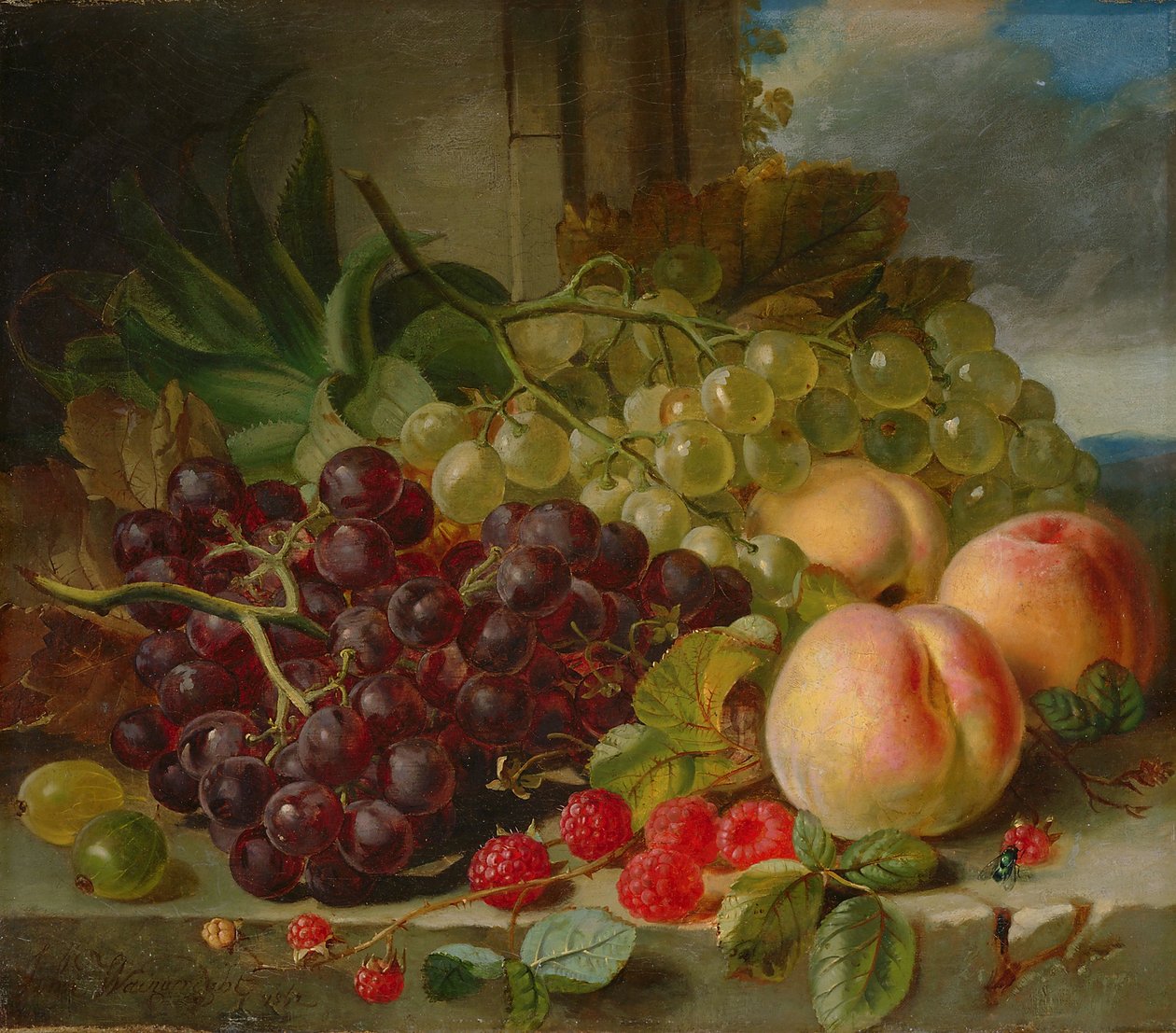 Naturaleza Muerta con Frutas, 1862 de John Wainwright
