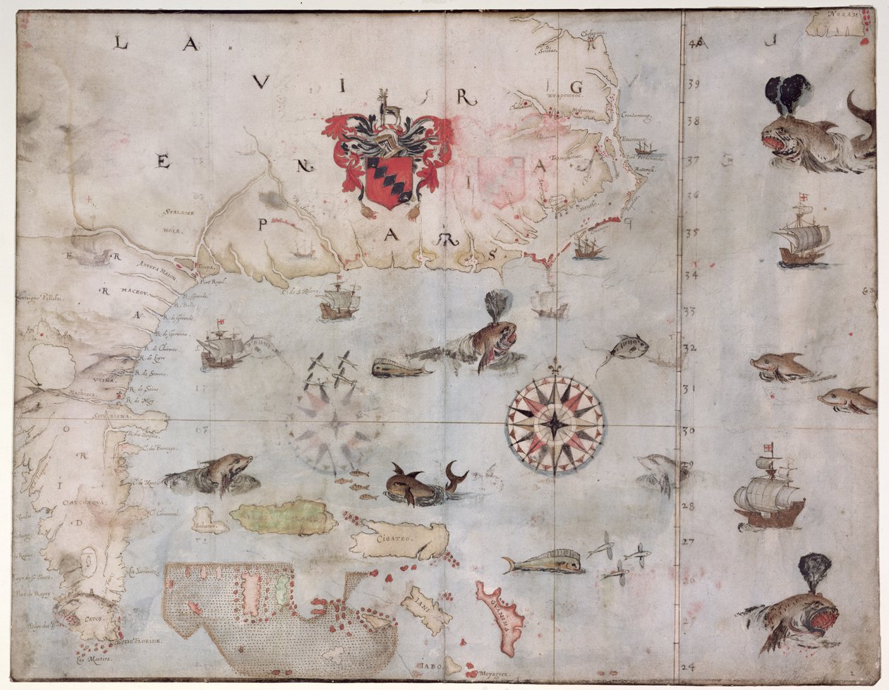Mapa del este de América del Norte: Florida a la Bahía de Chesapeake (litografía) de John White