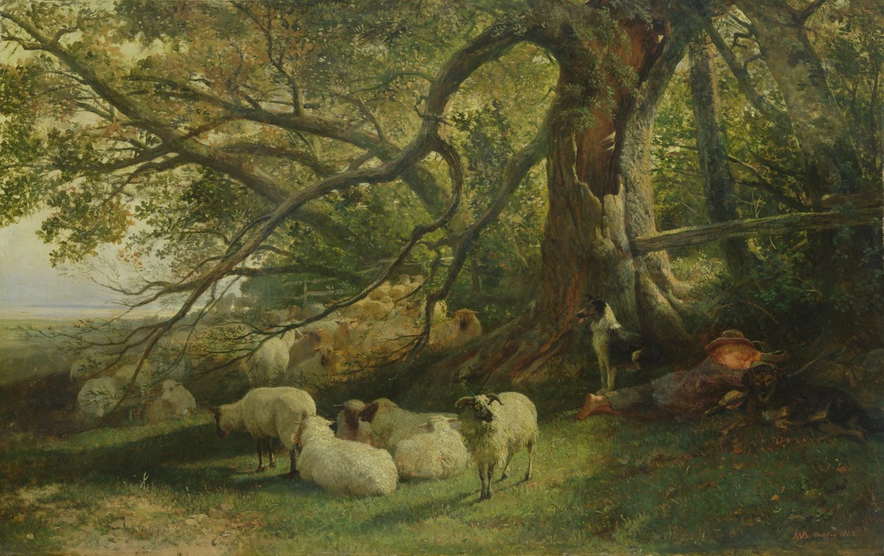 Rebaño descansando, 1863 de John William Bottomley