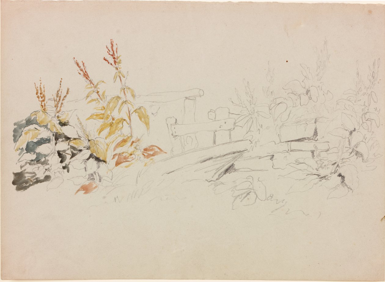 Estudio de la Naturaleza de John Wilson Carmichael