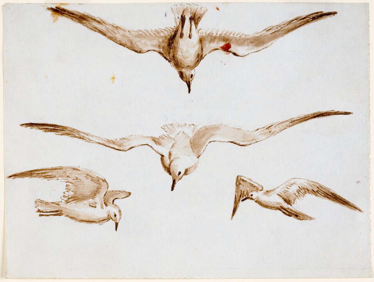 Gaviotas de John Wilson Carmichael