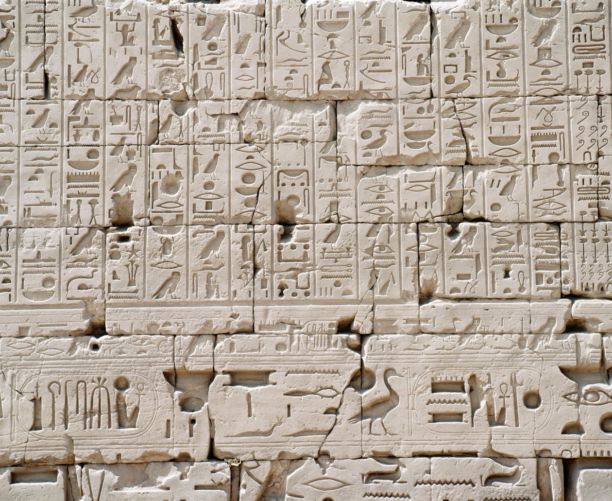 Egipto, Gobernación de Luxor, Karnak, Gran Templo de Amón, Gran Sala Hipóstila, detalle de la pared exterior de Walter Charles Mills