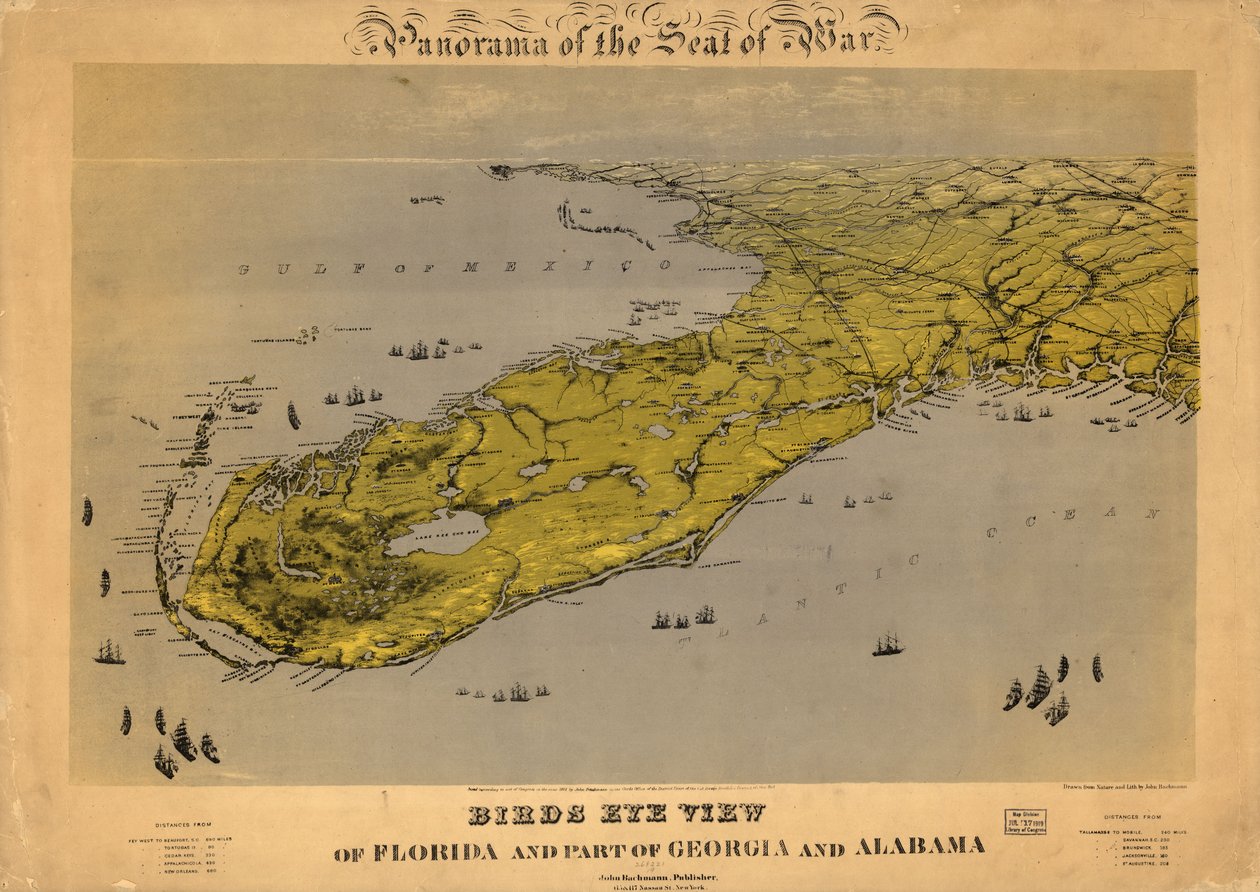 Vista aérea de Florida y parte de Georgia y Alabama LOC 99447266 de John Bachmann
