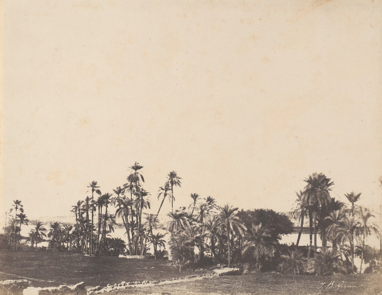 Estudio de Palmeras, Orillas del Nilo, Kalabschi de John Beasley Greene
