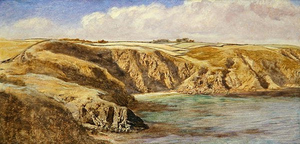 Parn Voose Cove de John Brett