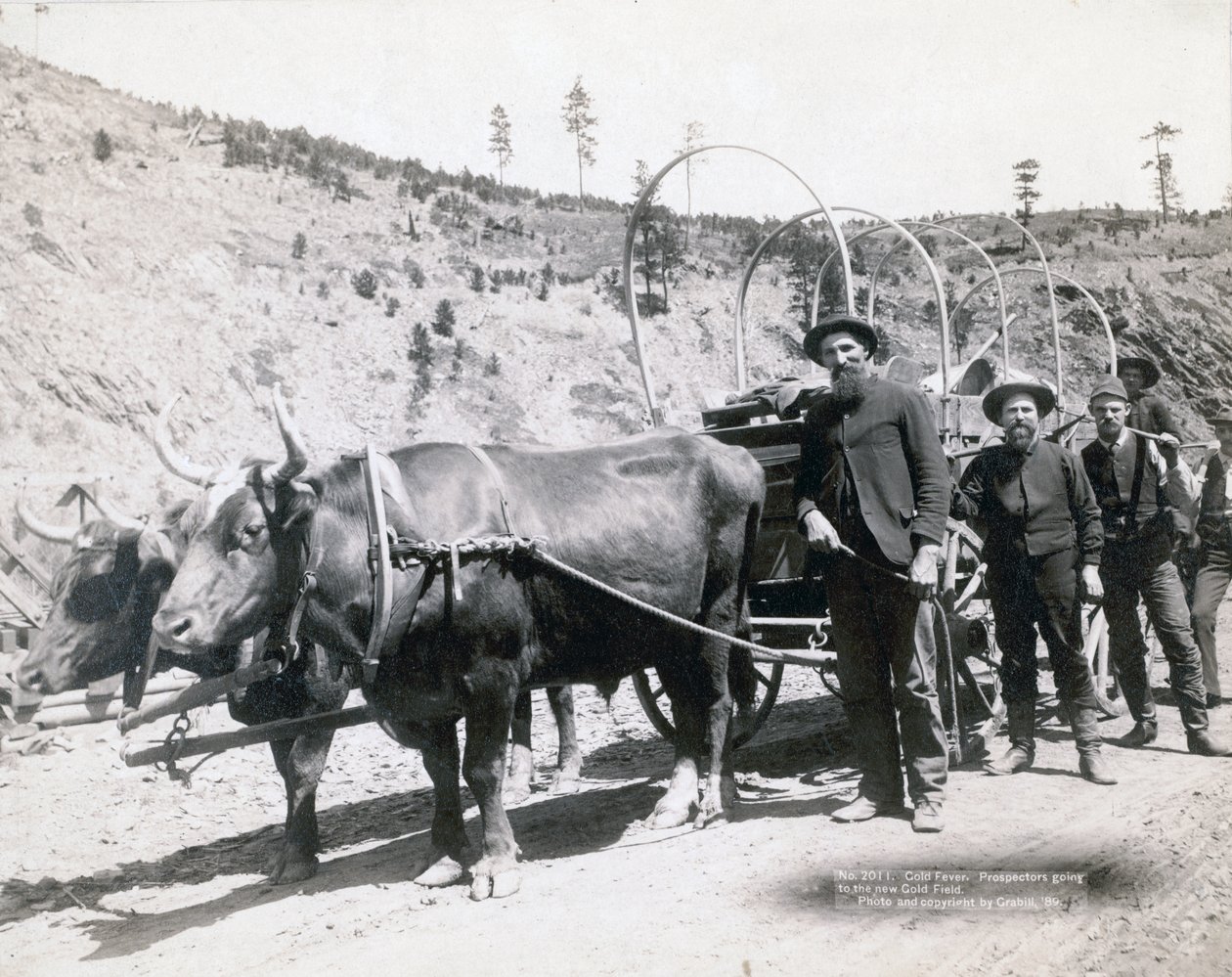 Fiebre del oro en Dakota del Sur de John C. H. Grabill