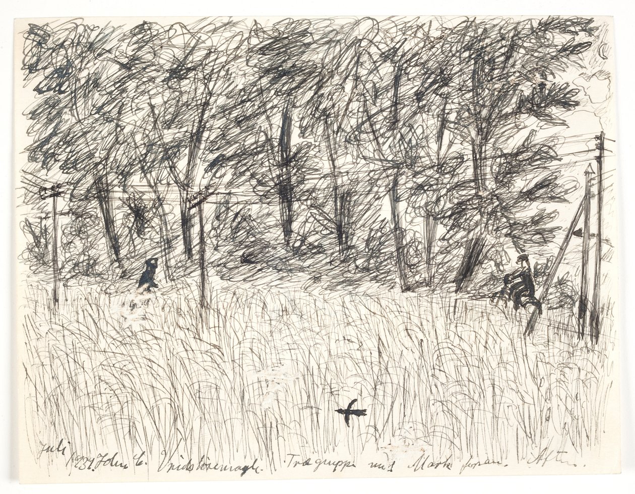 Vridsløsemagle. Grupo de árboles con campo al frente. Tarde de John Christensen