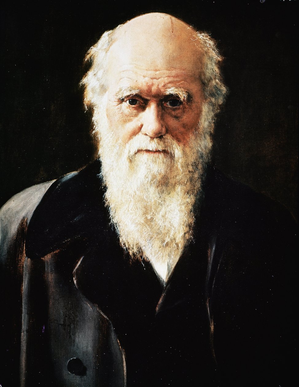 Retrato del naturalista inglés Charles Darwin (detalle) de John Collier
