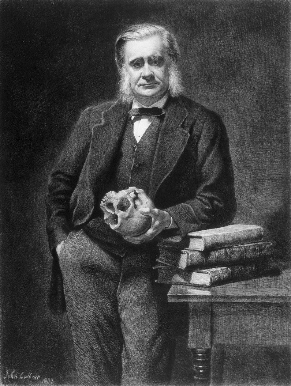 Thomas Henry Huxley (1825-95) grabado por Leopold Flameng (1831-1911) 1885 de John Collier