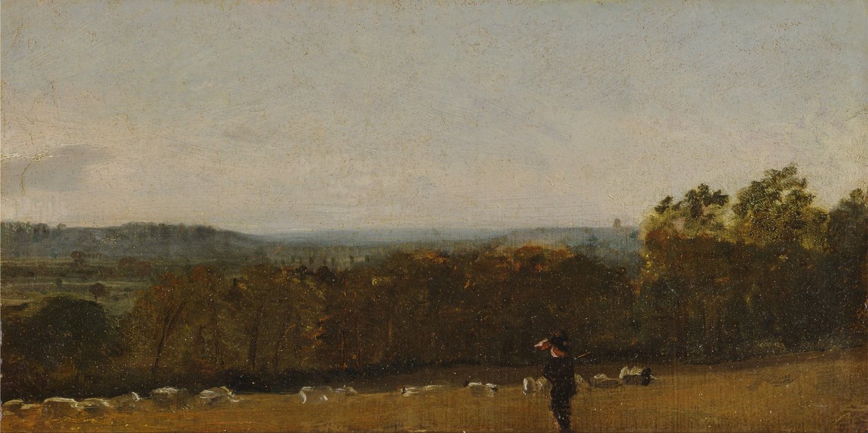 Un pastor en un paisaje mirando a través de Dedham Vale hacia Langham de John Constable