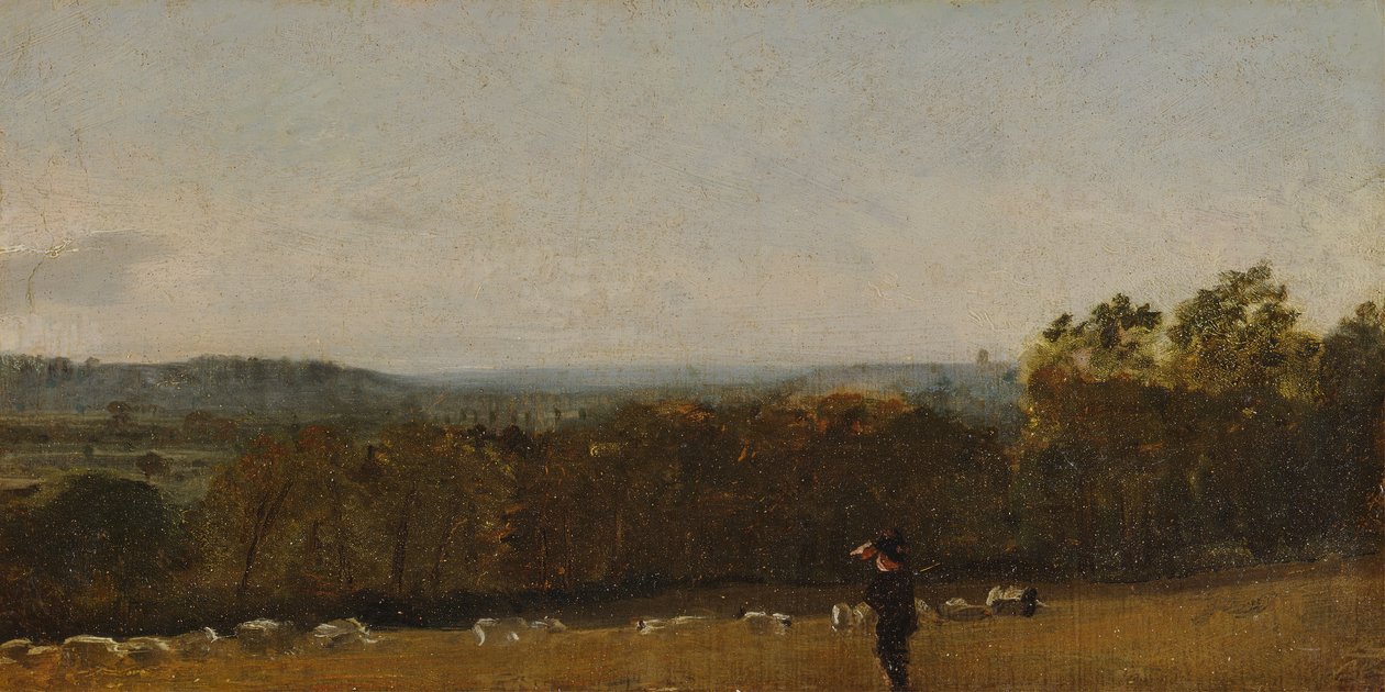 Un pastor en un paisaje mirando a través del valle de Dedham hacia Langham, ca. 1811 de John Constable