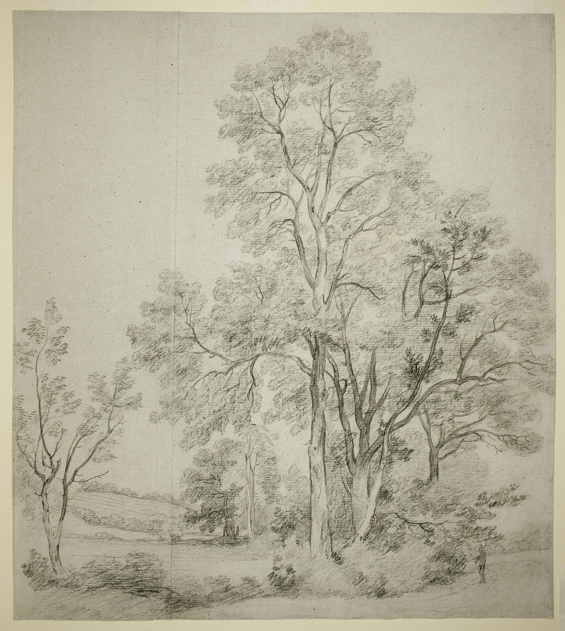 Un grupo de olmos (recto); Un estudio de East Bergholt con la iglesia (verso) de John Constable