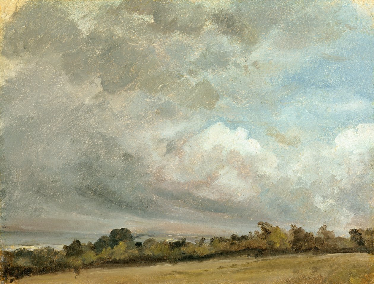 Estudio sobre la nube de John Constable