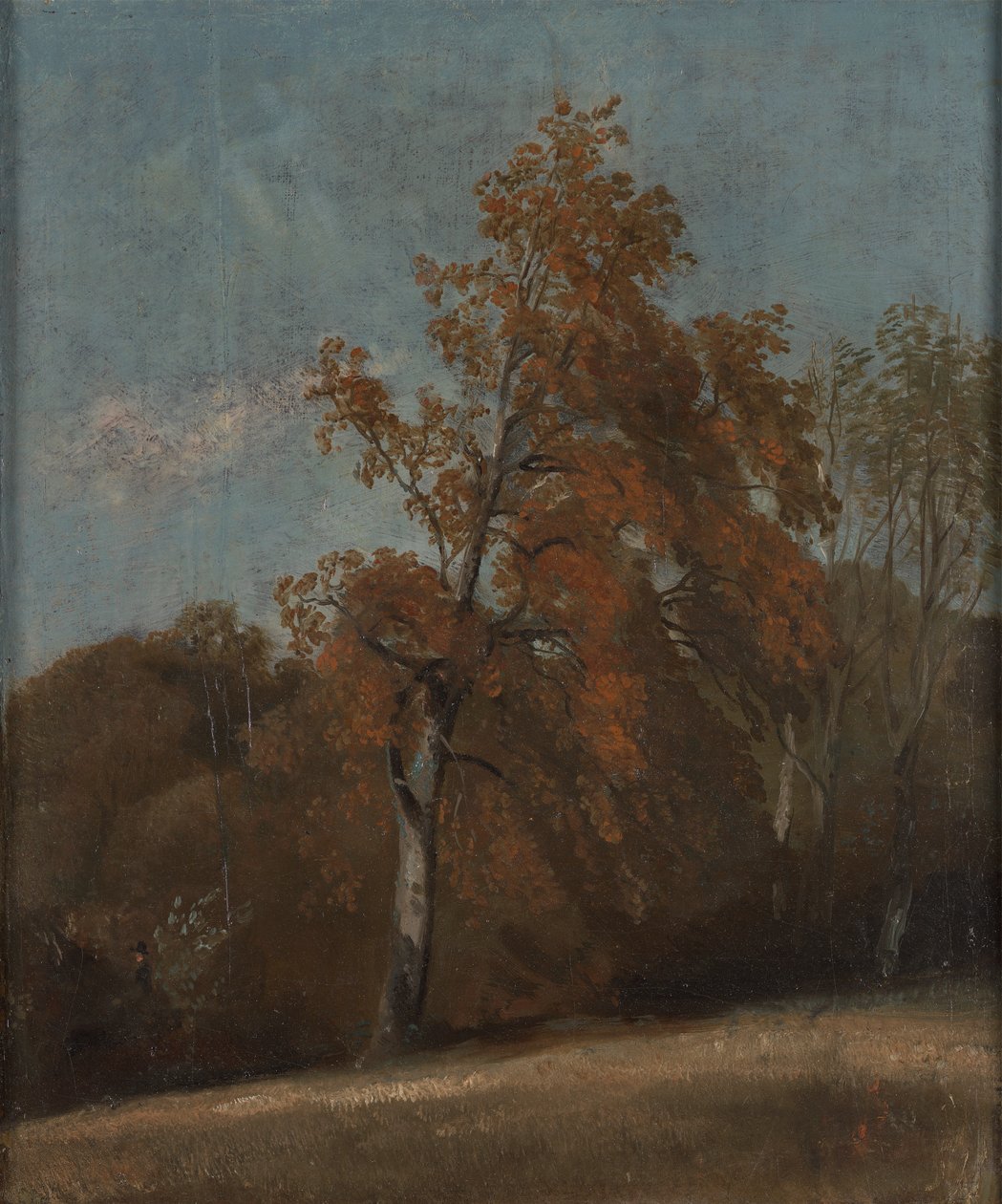 Estudio de un fresno de John Constable