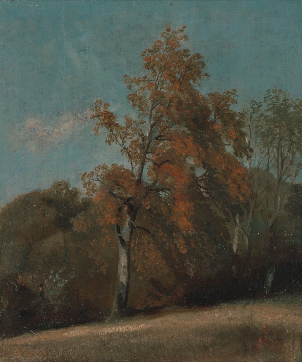 Estudio de un fresno de John Constable