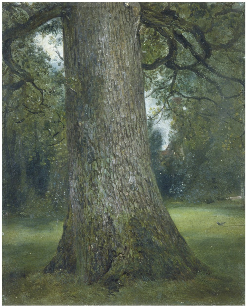 Estudio del tronco de un olmo, c. 1824 de John Constable
