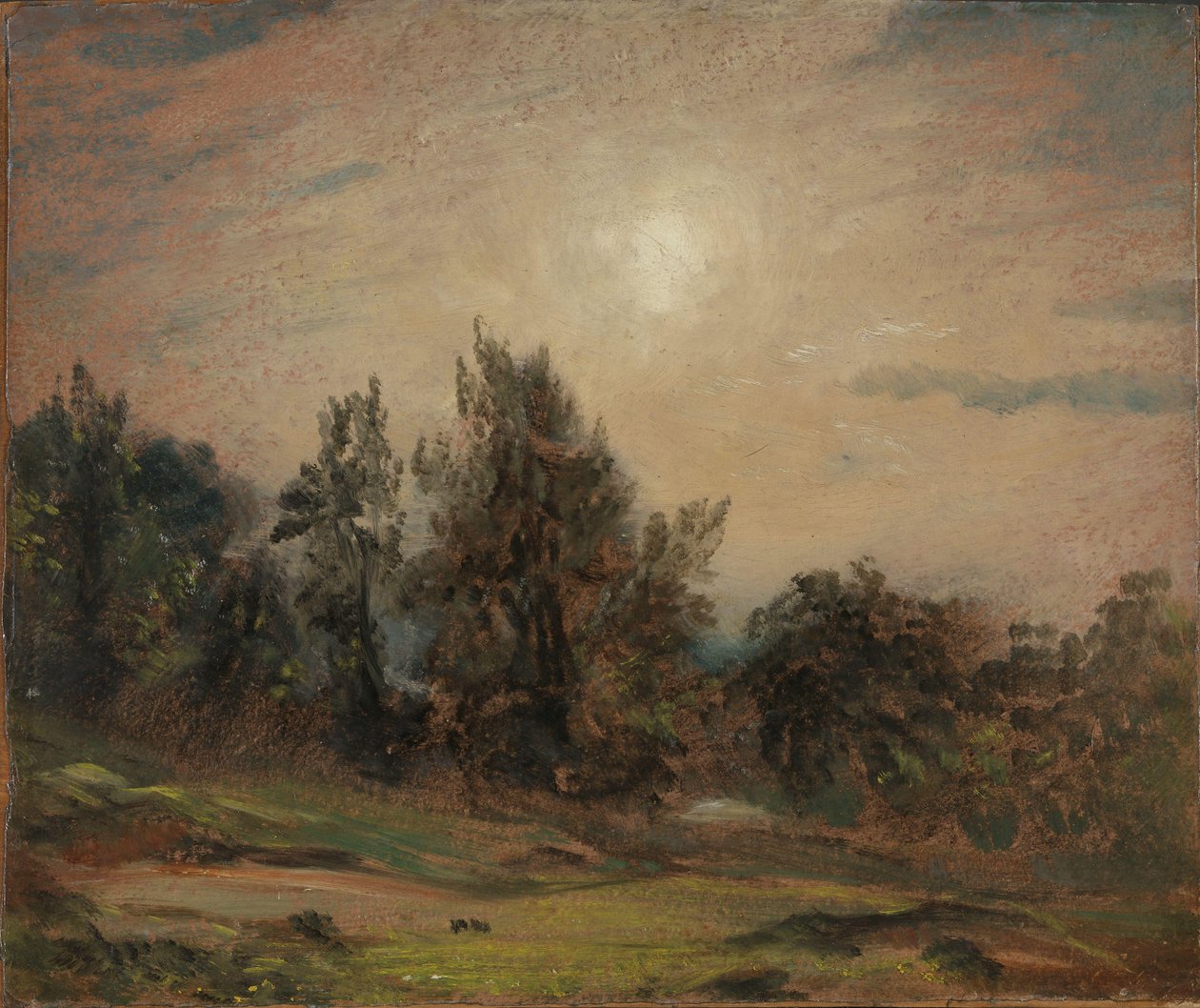 Árboles en Hampstead Heath de John Constable