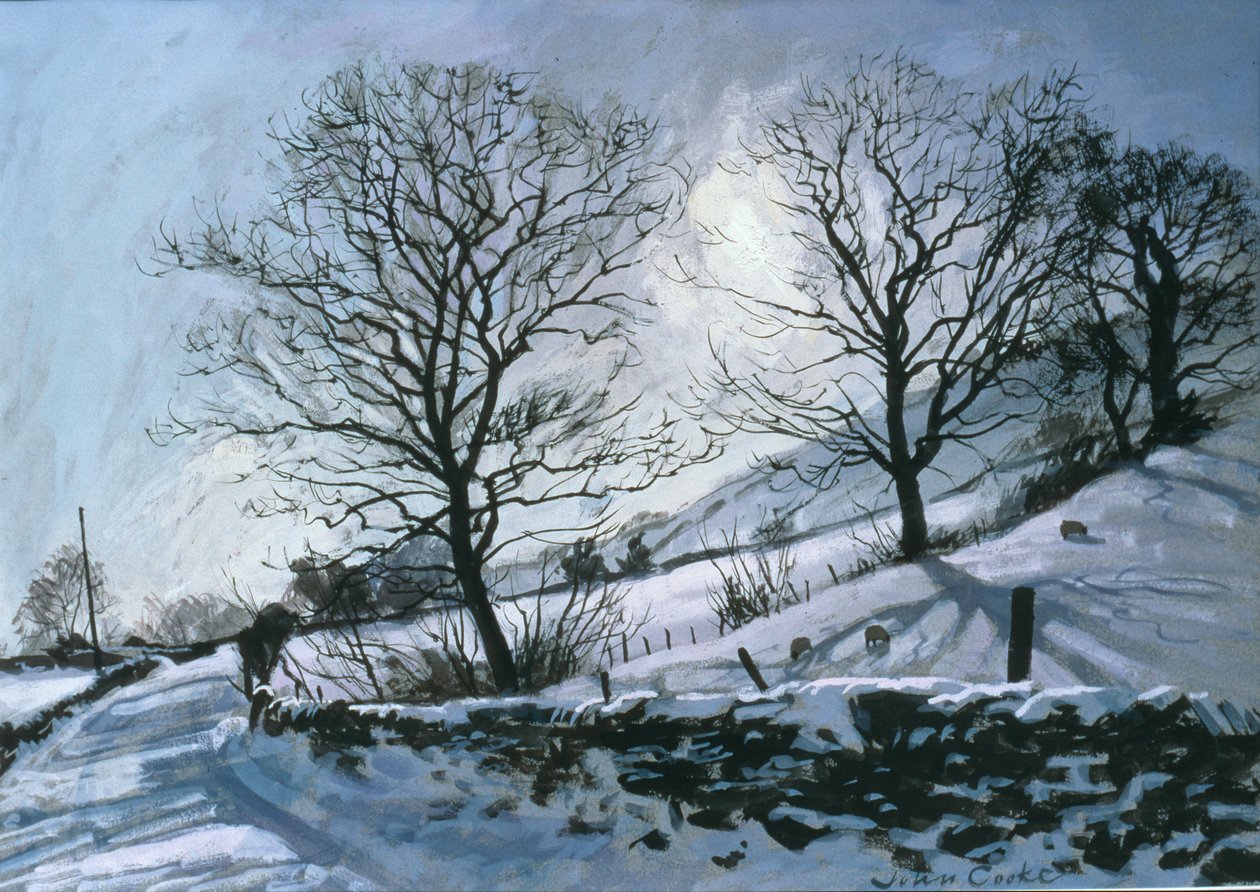 Tarde de invierno en Dentdale de John Cooke