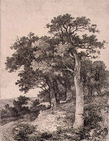 En Colney, pub. por J. & W. Freeman de John Crome