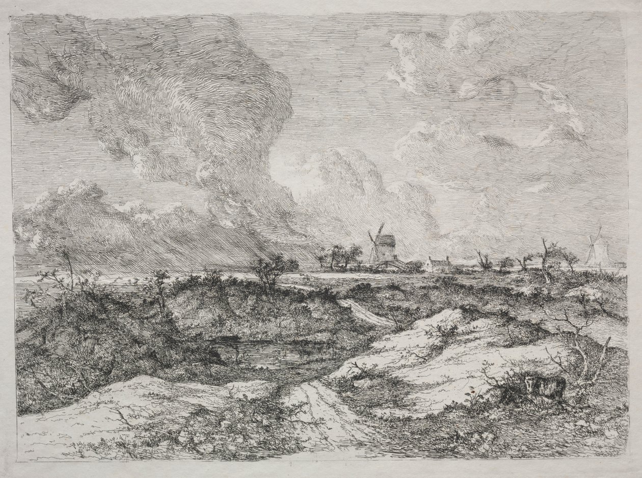 Mousehold Heath de John Crome