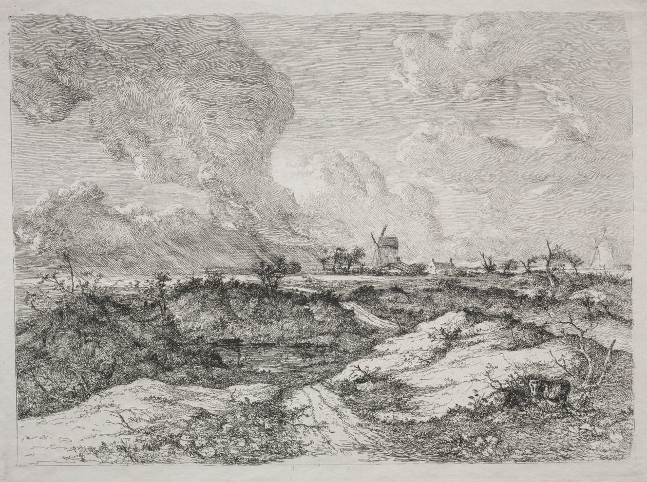 Mousehold Heath, c. 1810-13 de John Crome