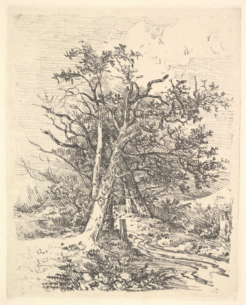 Troncos de Árboles y Camino, 1811-13 de John Crome