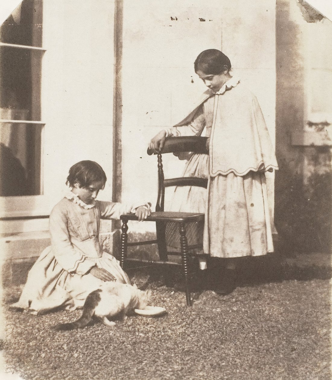 Alimentando al pobre gato, 1853-56 de John Dillwyn Llewelyn