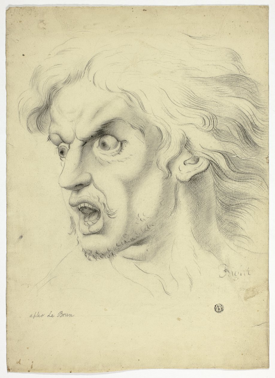 Fright de John Downman