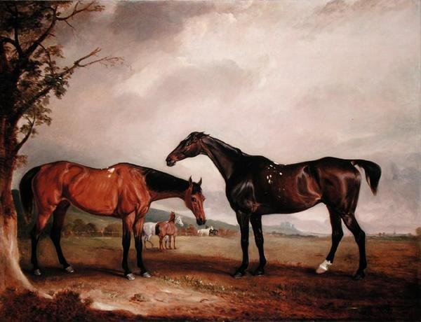 Longford Lass y el judío de John E. Ferneley