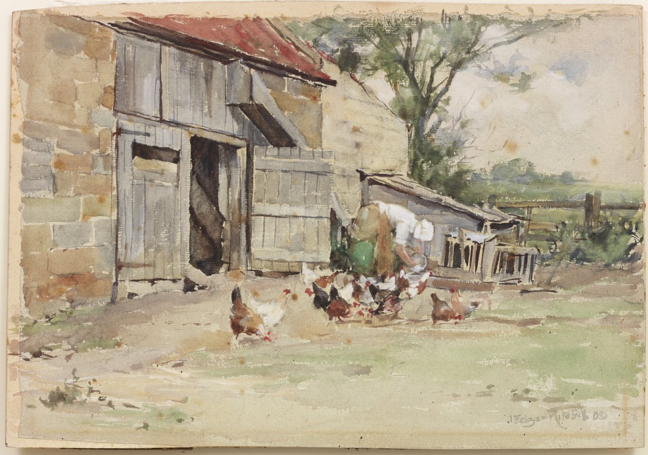 Alimentando a las gallinas, 1909 de John Edgar Mitchell