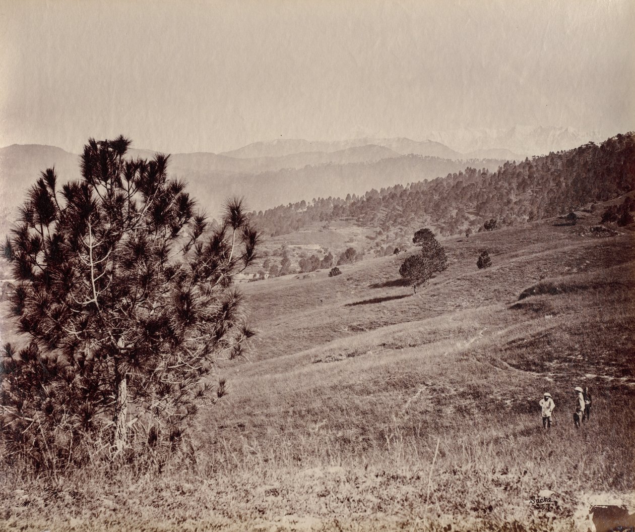 Paisaje con árbol y tres hombres, India de John Edward Saché