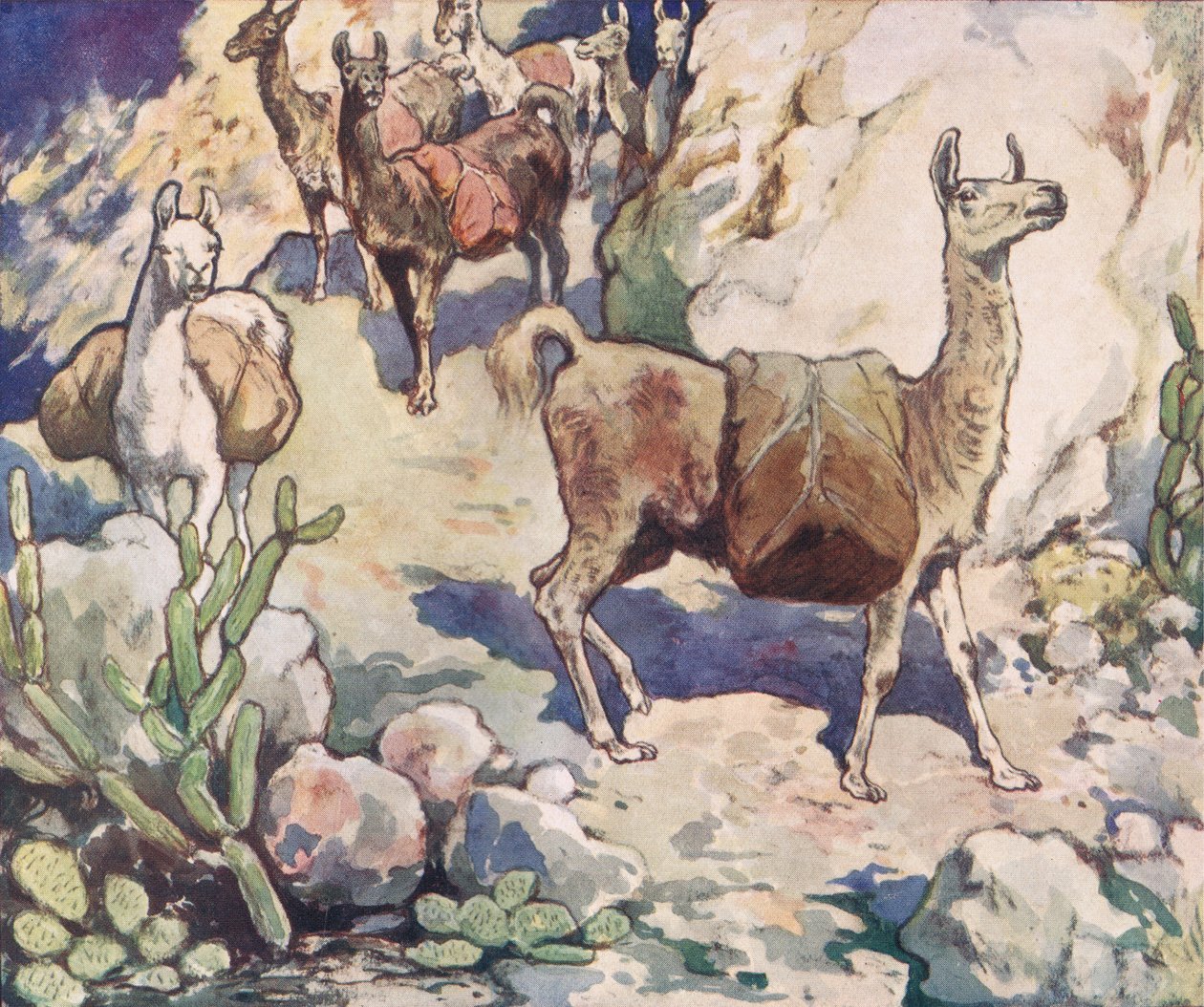 Alpacas en un camino de montaña, ilustración de "Helpers Without Hands" de Gladys Davidson, publicada en 1919 (litografía en color) de John Edwin Noble