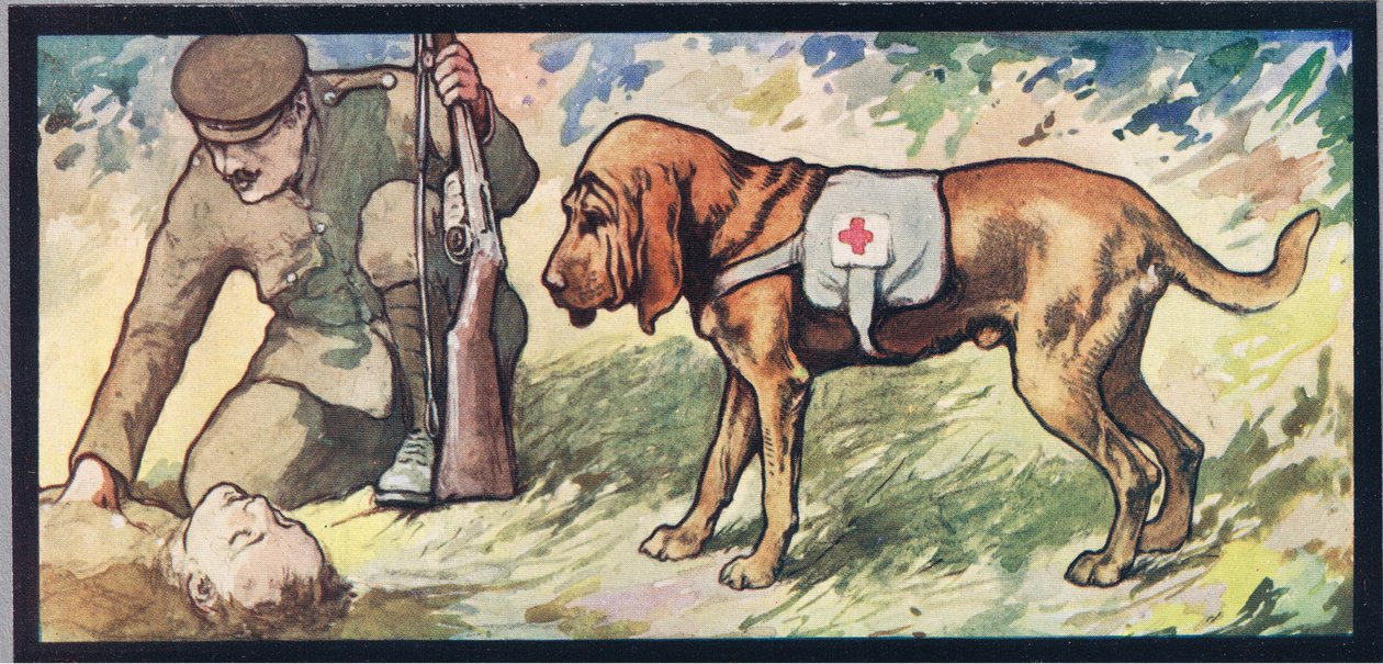 Sabueso de Ambuland, ilustración de "Helpers Without Hands" de Gladys Davidson, publicada en 1919 (litografía en color) de John Edwin Noble