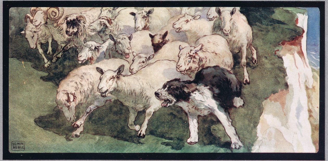 Perro pastor y rebaño en los acantilados, ilustración de "Helpers Without Hands" de Gladys Davidson, publicada en 1919 (litografía en color) de John Edwin Noble