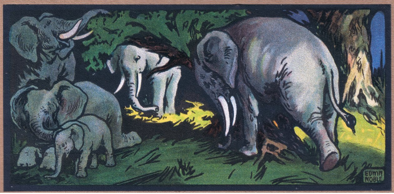Elefante en la selva de John Edwin Noble