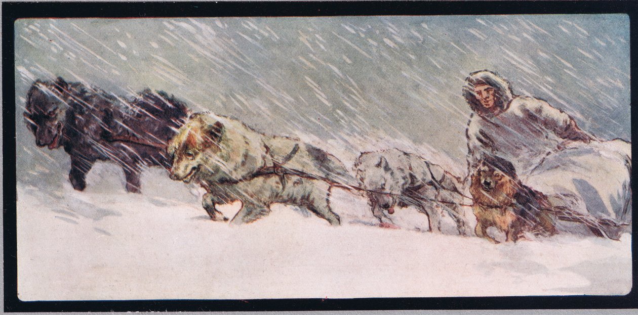 Huskies tirando de un trineo, ilustración de "Helpers Without Hands" de Gladys Davidson, publicada en 1919 (litografía en color) de John Edwin Noble