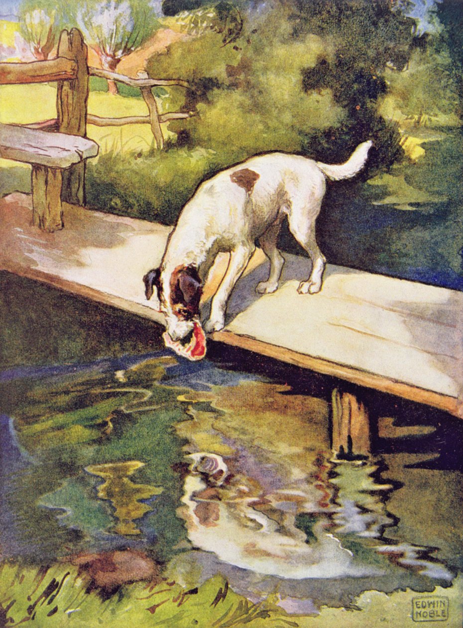 El perro y la sombra de las "Fábulas de Esopo", publicado por Raphael Tuck & Sons Ltd., Londres (ilustración del libro) de John Edwin Noble