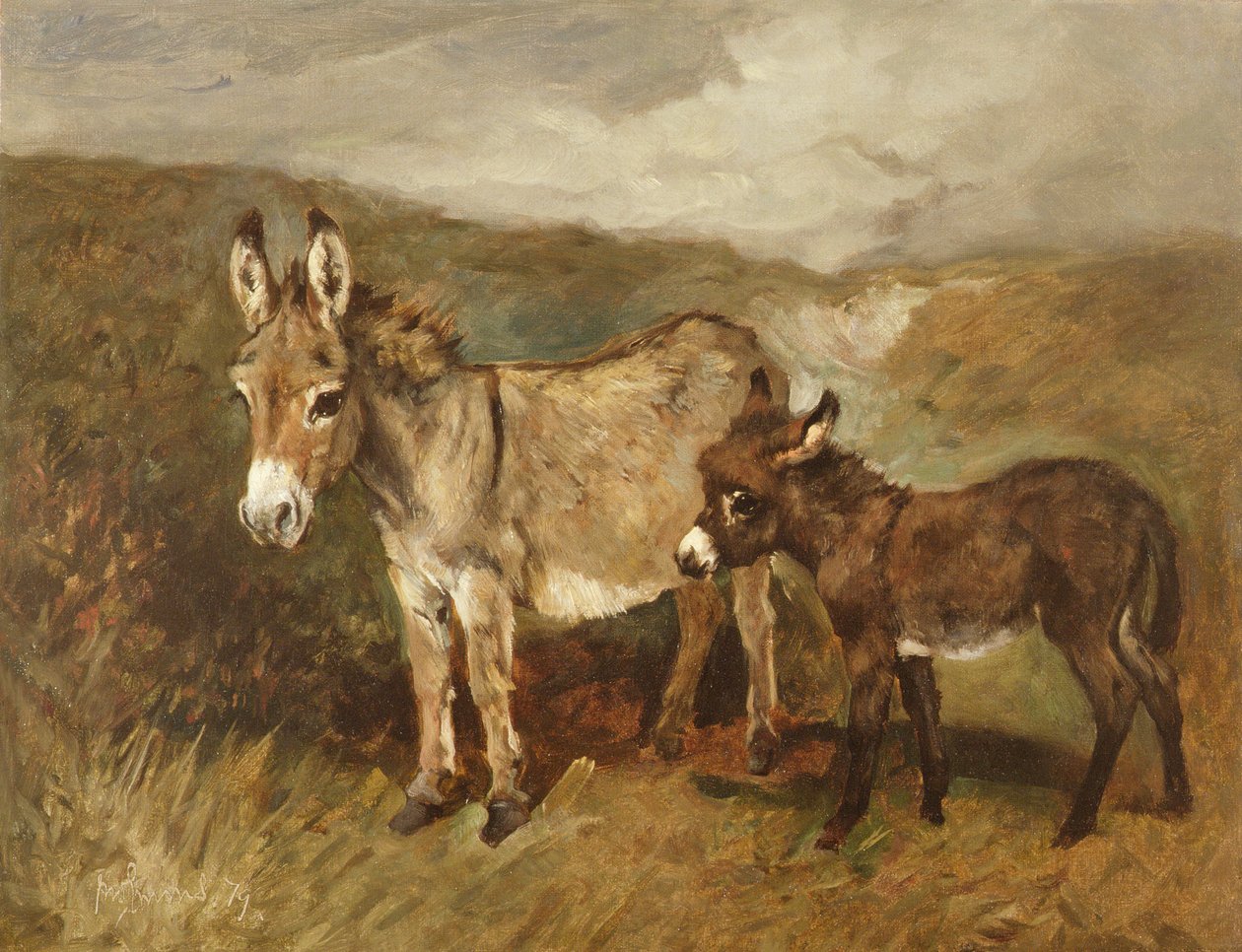 Burros en el páramo, c.1890 de John Emms
