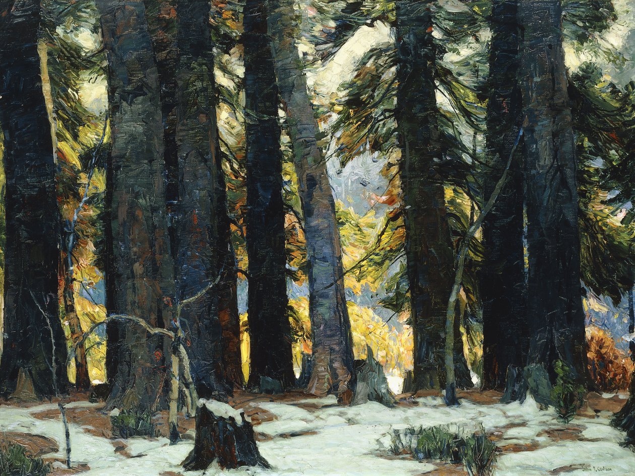 El Santuario de John Fabian Carlson