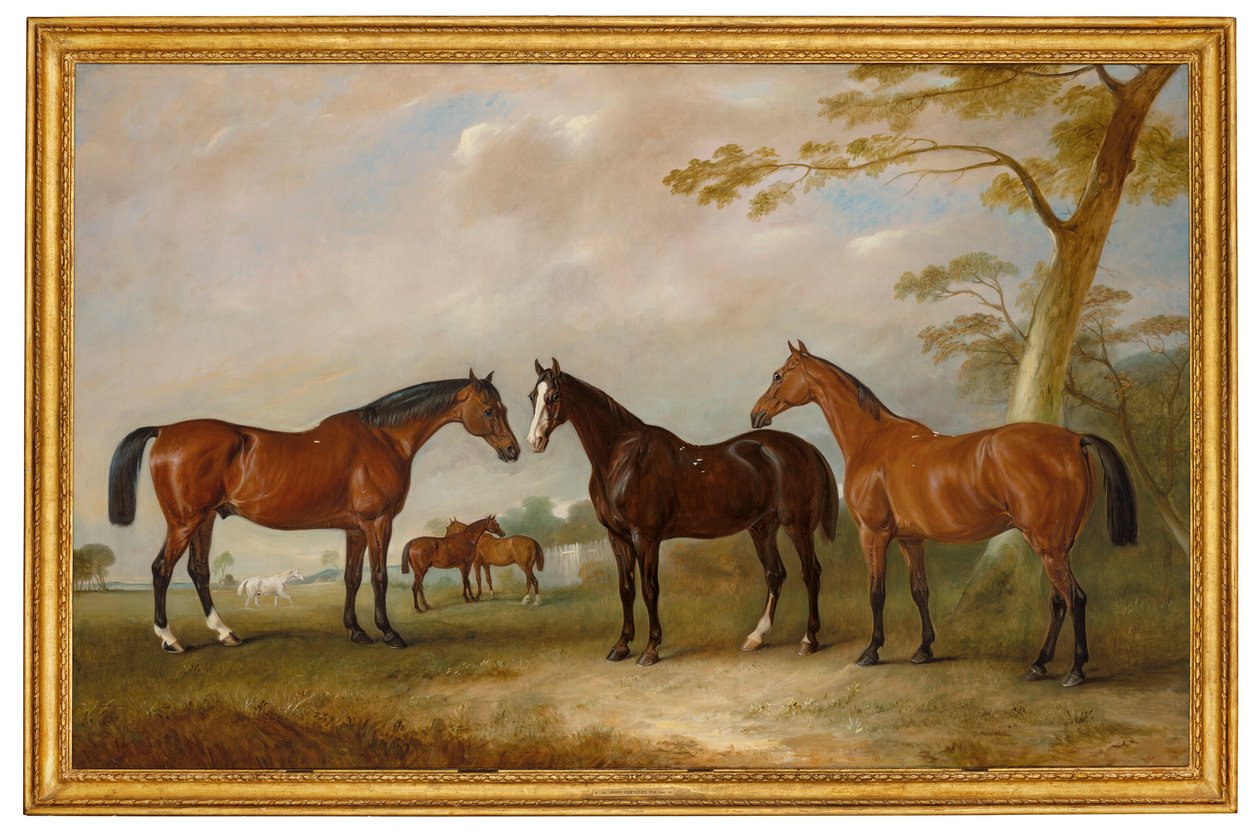 Intrepid, Conqueror y Bay Bolton con Silkman y Darnley más allá en un paisaje de John Ferneley