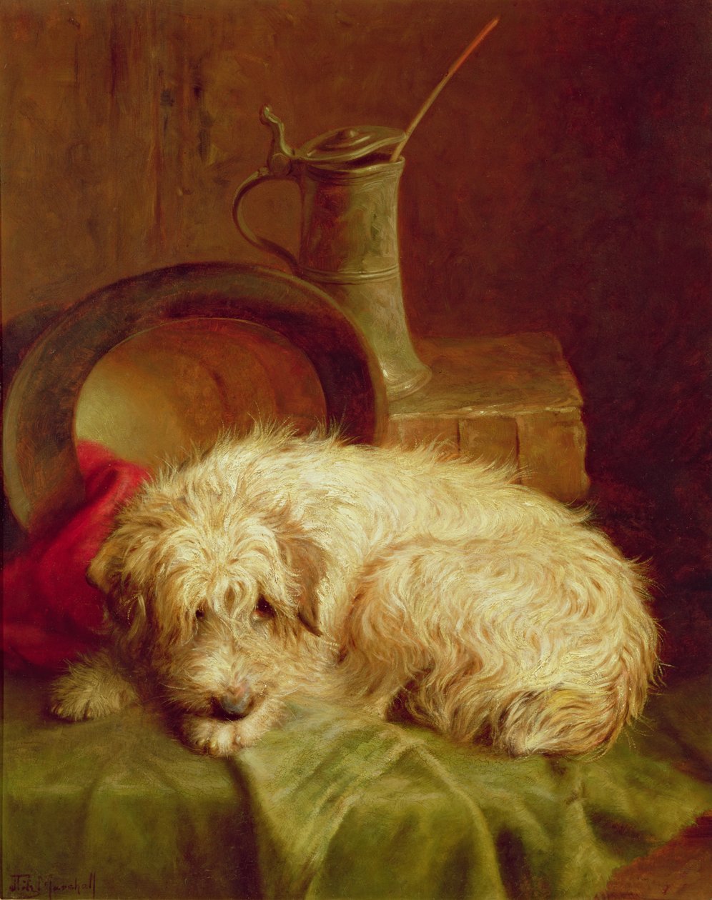 Un terrier de John Fitz Marshall