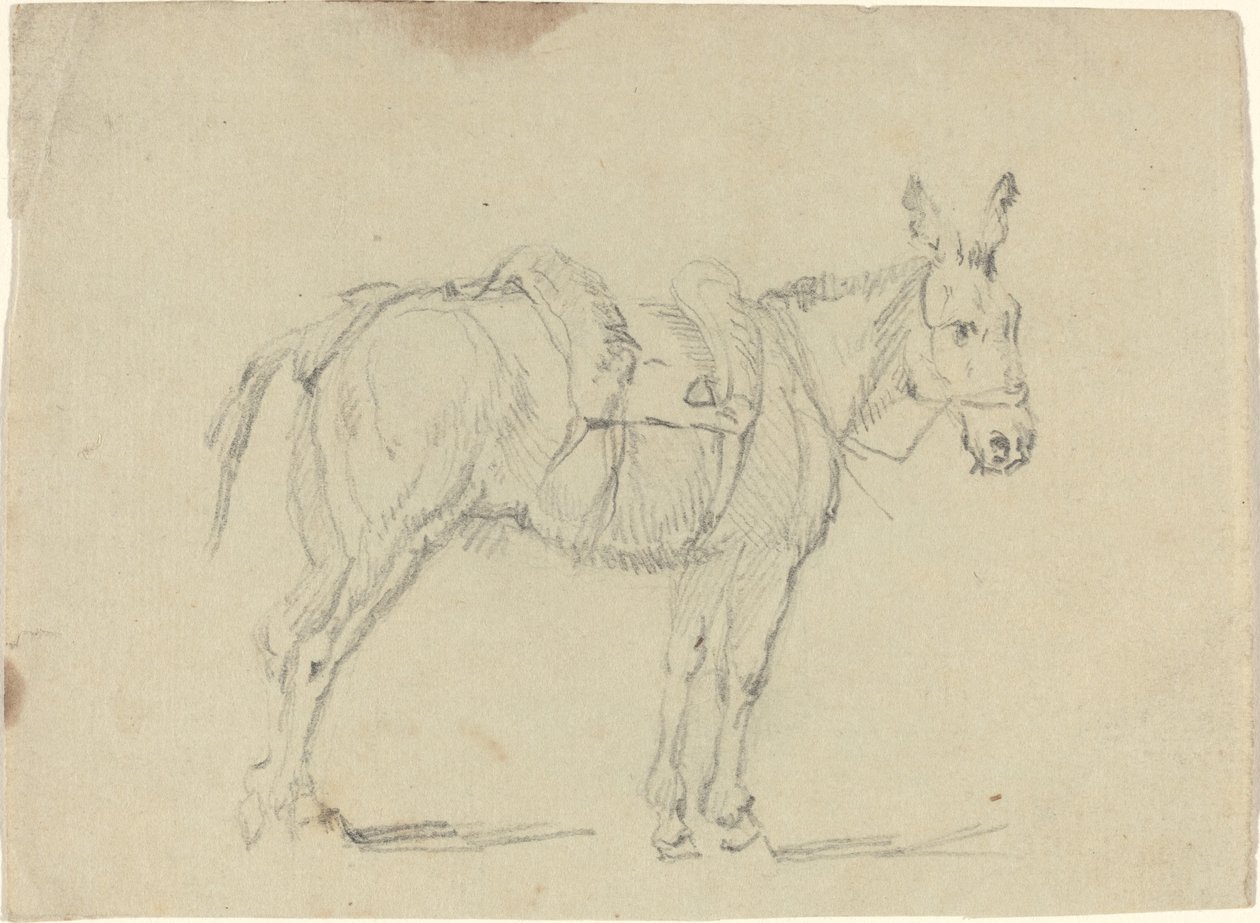Burro estirando una pata trasera de John Flaxman