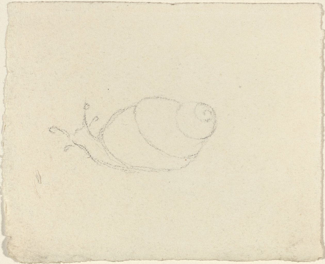 Caracoles [recto y verso] de John Flaxman