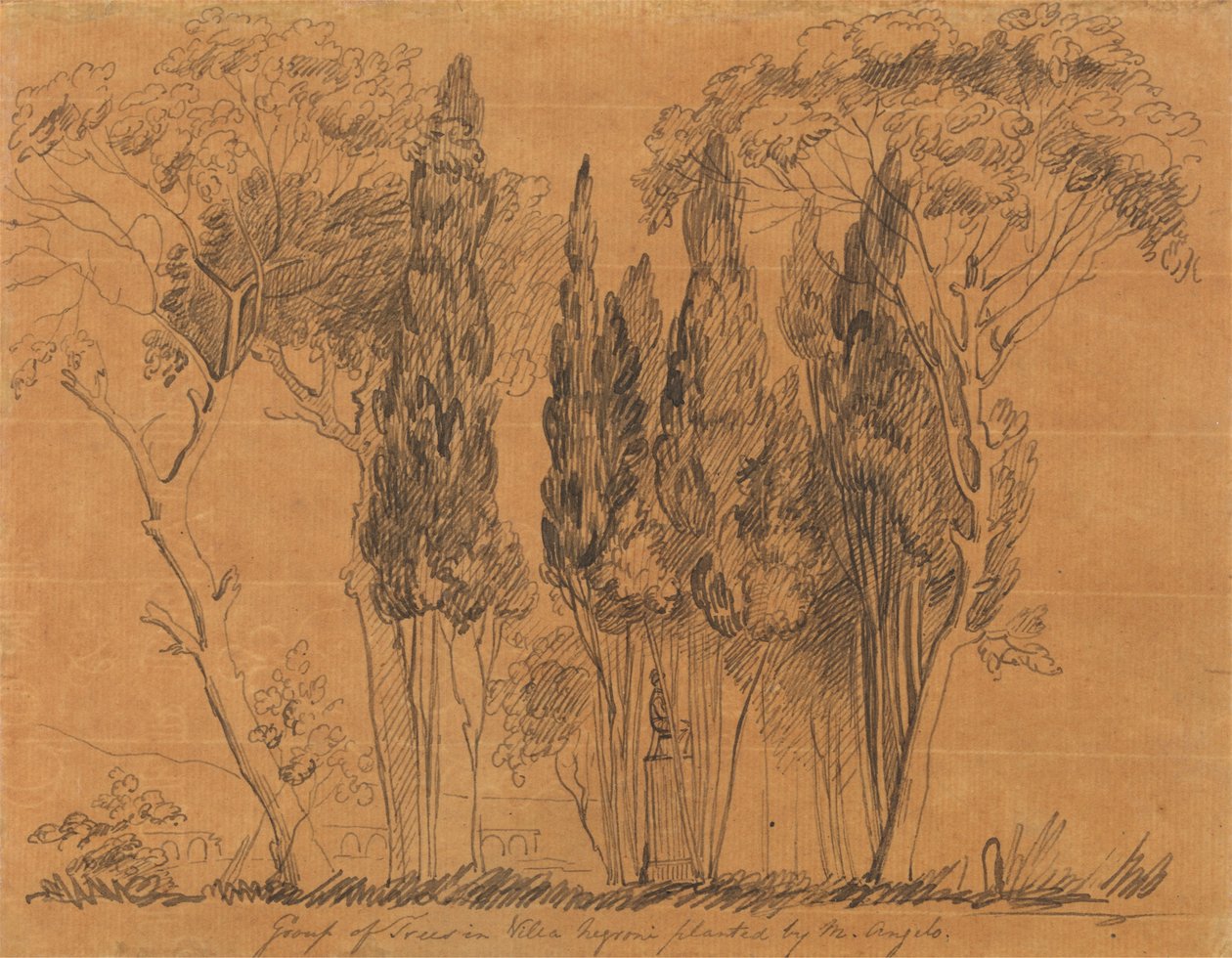 Árboles de la Villa Negroni plantados por M. Angelo de John Flaxman