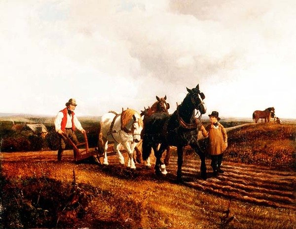 Arando de John Frederick Herring Jnr