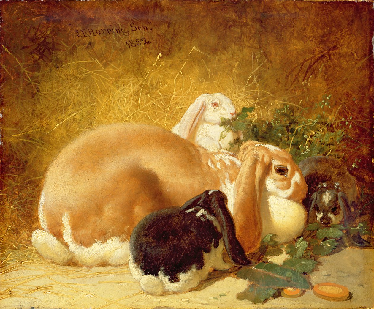 Conejos, 1852 de John Frederick Herring Junior