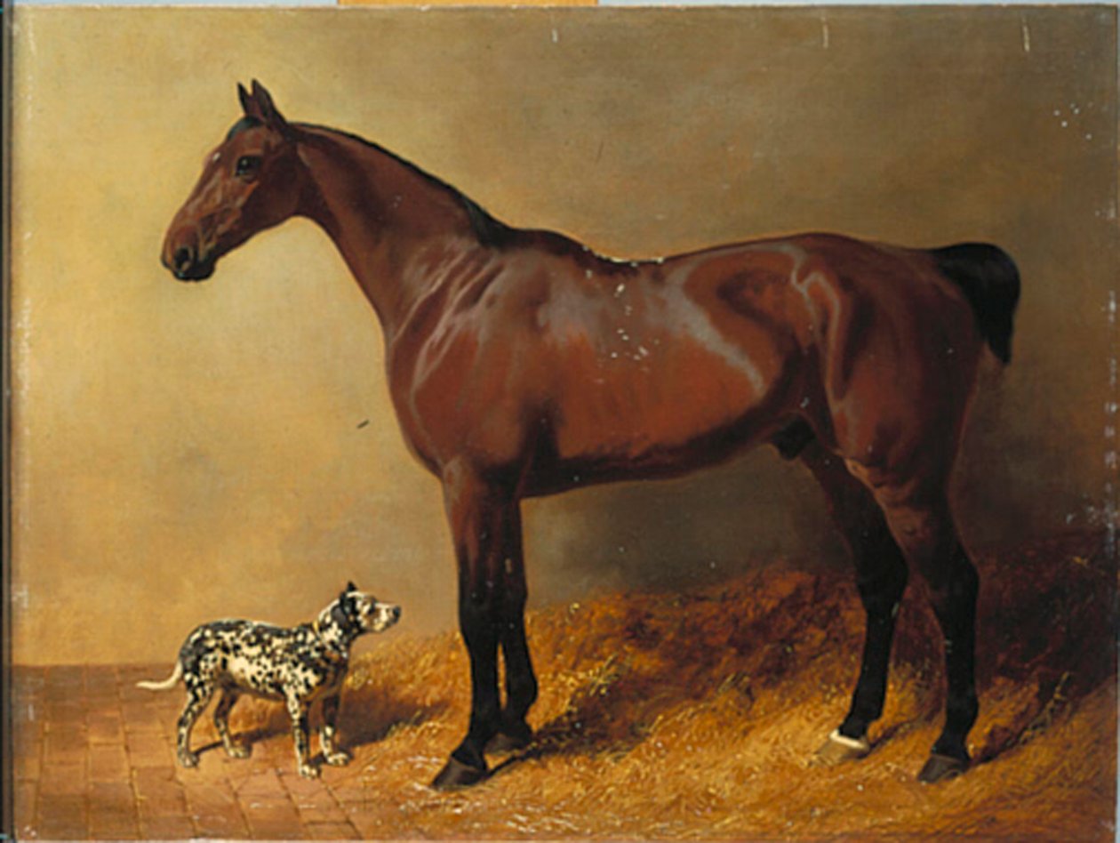 Un cazador de bahía y un perro manchado en un interior de establo, 1846 de John Frederick Herring Senior