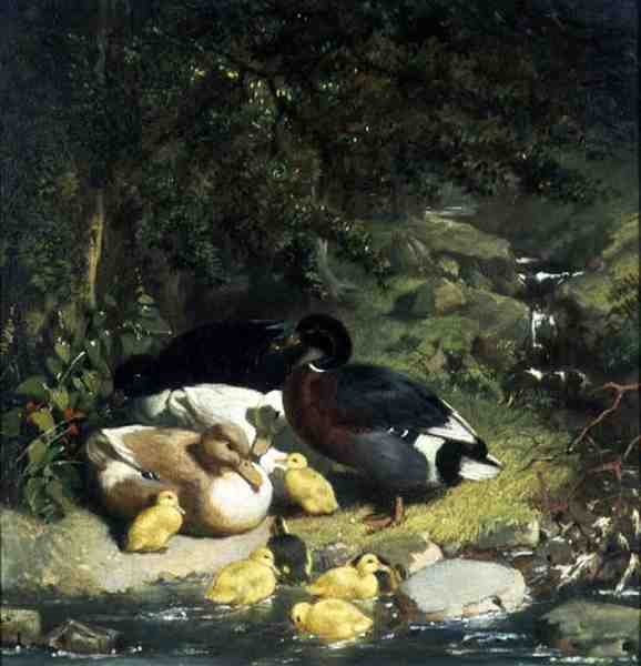 Patos y Patitos de John Frederick Herring Senior
