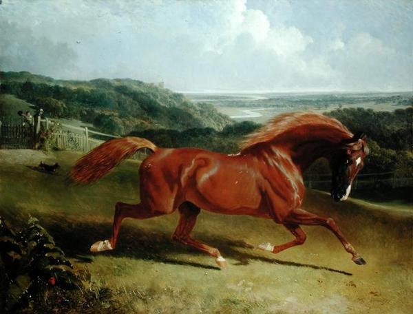 Caballo Galopando en un Paisaje de John Frederick Herring Senior